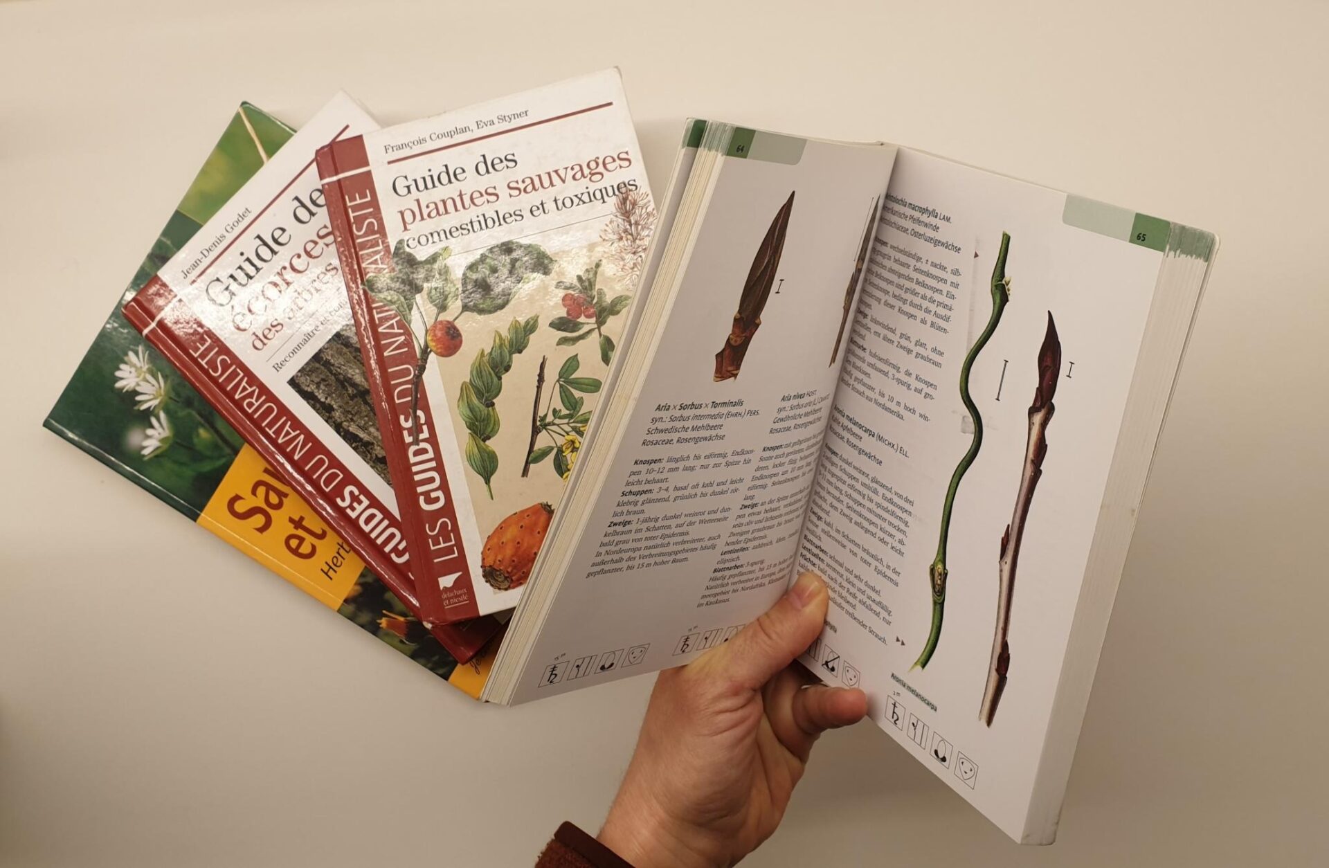 Bücher über wilde Pflanzen. Eine Hnad hält eines der Bücher offen und der Inhalt ist sichtbar.